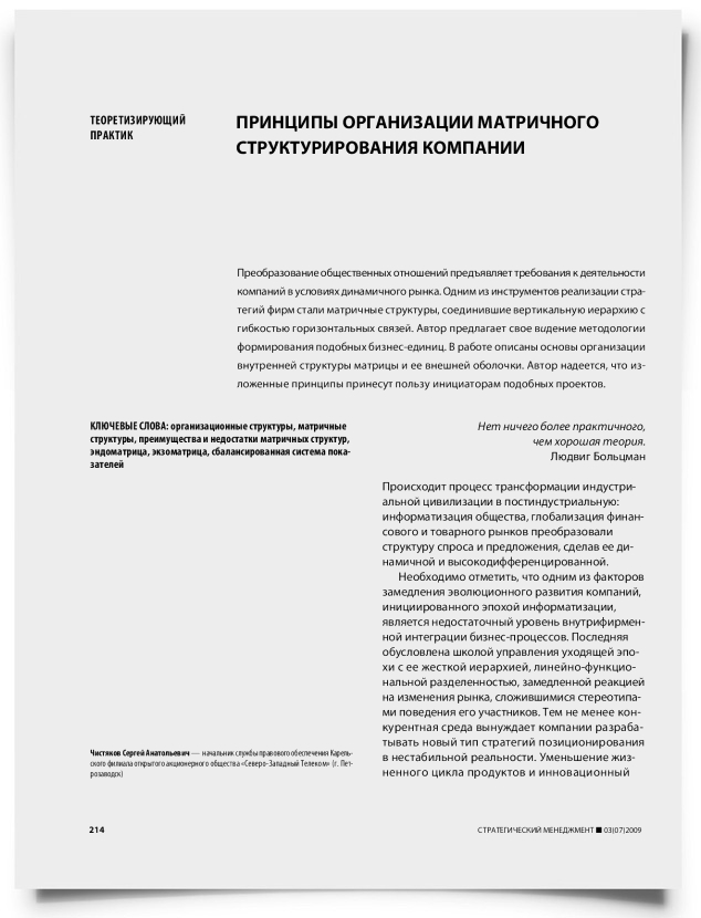 Принципы организации матричного структурирования компании - титульная страница