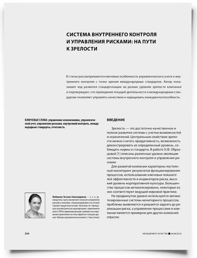 Система внутреннего контроля и управления рисками: на пути к зрелости - титульная страница